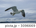 3096669