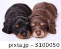 なかよくおやすみ