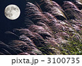 中秋の名月