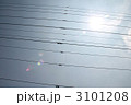 3101208