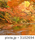 養老渓谷の紅葉