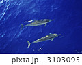 3103095