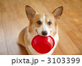 3103399