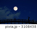 満月と橋と日本女性