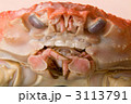 ずわいがに