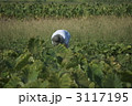 ７1歳になった父の趣味　