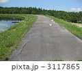3匹の蝶に誘われて