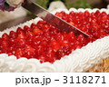 3118271