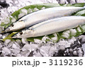 秋刀魚