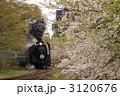 3120676
