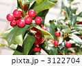 クリスマスホーリー