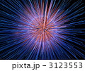 hanabi