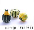 ペポカボチャ