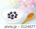 ブルーベリーとヨーグルト