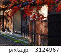 初夏の茅葺きの日本家屋