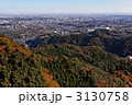 紅葉が広がる高尾山と関東平野