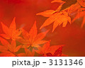 龍安寺境内の紅葉