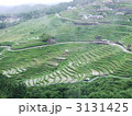 丸山千枚田