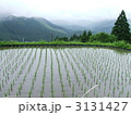 丸山千枚田