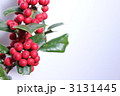 クリスマスホーリー
