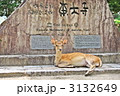 牡鹿