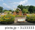 とっとり花回廊・入ってすぐの向日葵