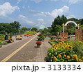 とっとり花回廊・フラワードームを望む