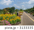 とっとり花回廊・通路の先のフラワードーム