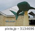 美ら海水族館　入口