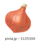 打木赤皮甘栗かぼちゃ