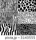 3143555