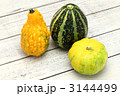 観賞用かぼちゃ