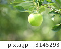 初恋の味