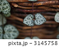 3145758