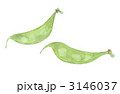 つるまめ　加賀野菜
