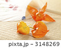 ほおずきの夏イメージ