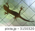 3150320