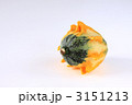 おもちゃカボチャ