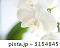 3154845
