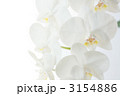 3154886