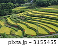 内成棚田