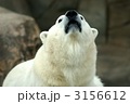 3156612