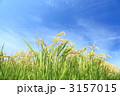 爽やか稲作