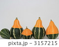 おもちゃ南瓜