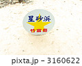 南国沖縄　竹富島の星砂浜　カイジ浜