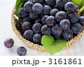 秋のフルーツ　葡萄　Ⅱ