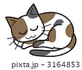 おやすみ三毛猫