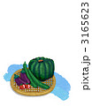 3165623