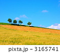 美瑛の風景