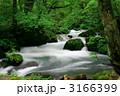 奥入瀬渓流